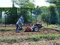 2014 paddy field taokoshi4.jpg(43772 byte)